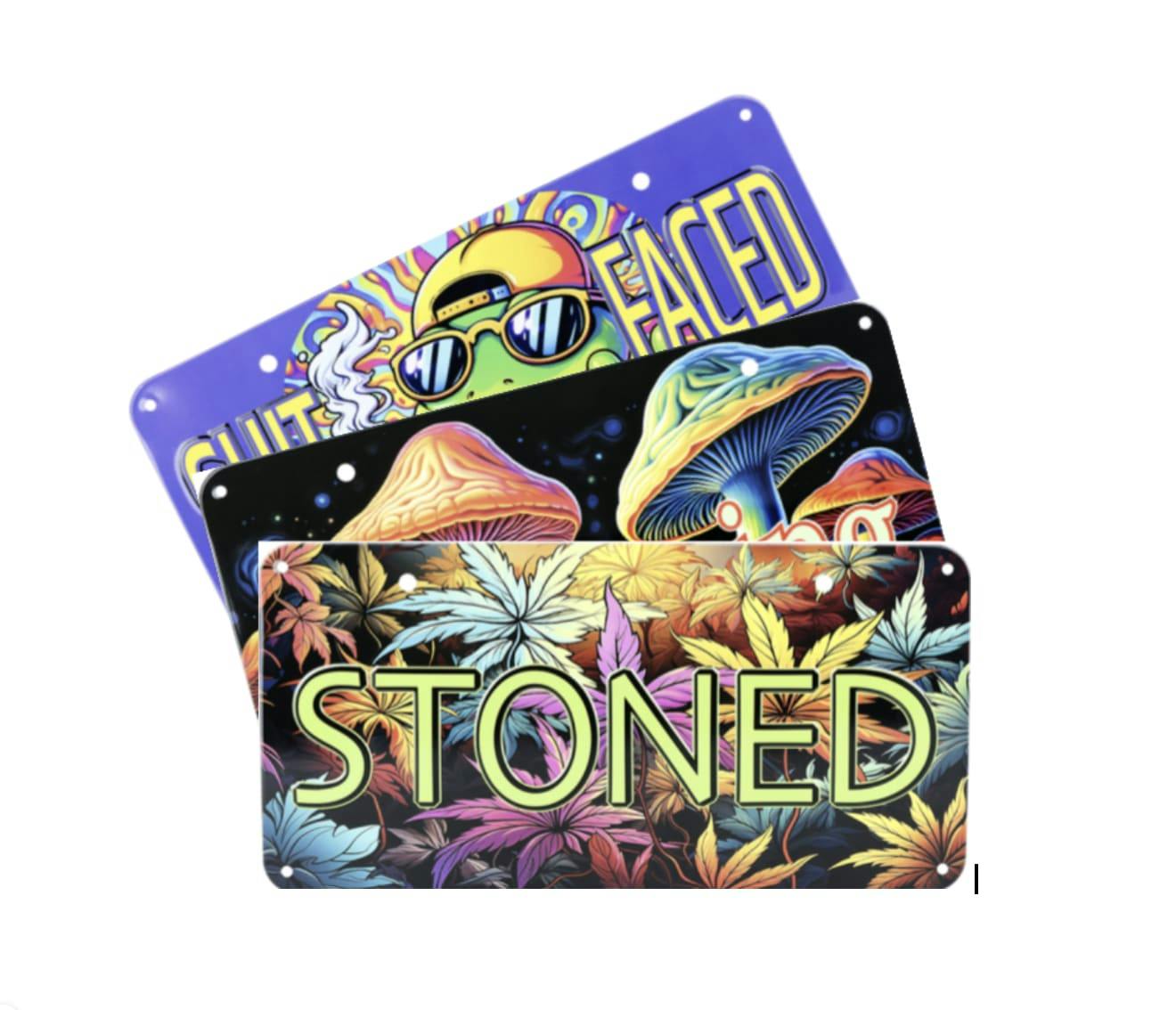 Novelty Metal License Plate Assorted Design