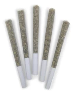 SWEET JESUS PRE-ROLLS - 2.5