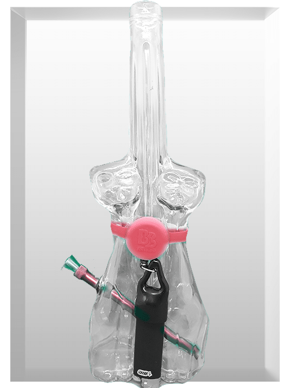 Twin Cats Glass Water Pipe / Bong