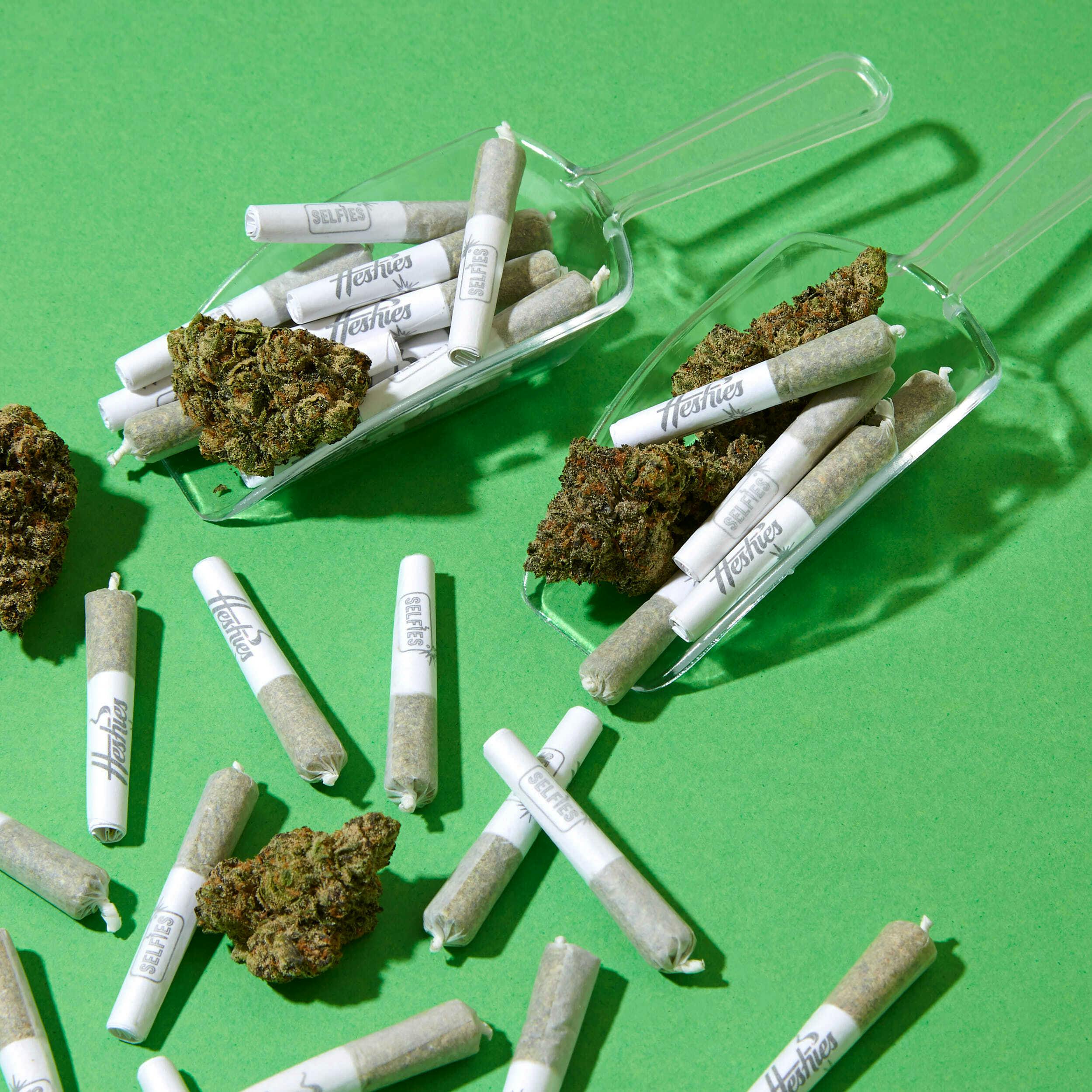 Selfies - Black Jack 2-Pk Prerolls 0.5g - 0.5 grams at Goldenhour Collective - Point Arena