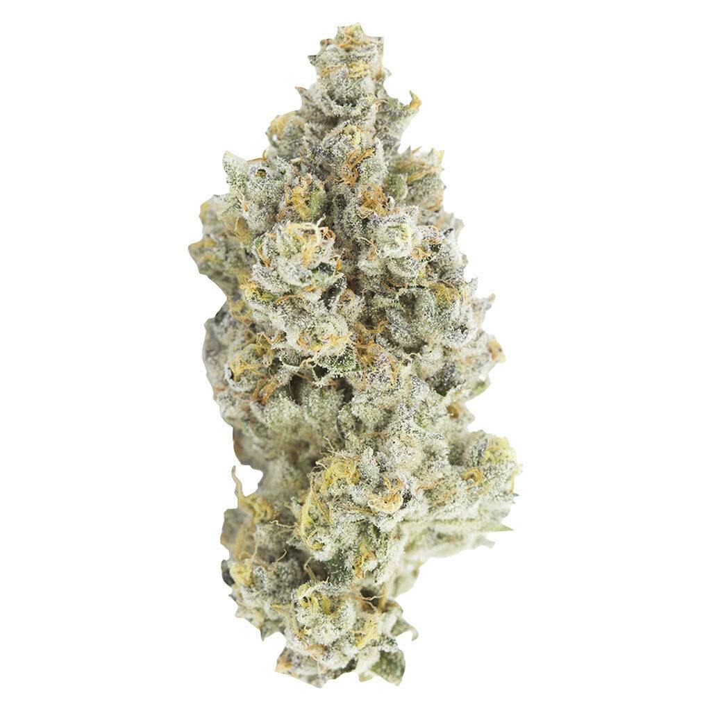 Naked Mummer - Pheno Hunt Series - 7g
