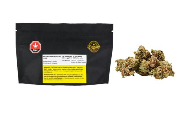 Organic Mint Chocolate Chip Petites 14G
