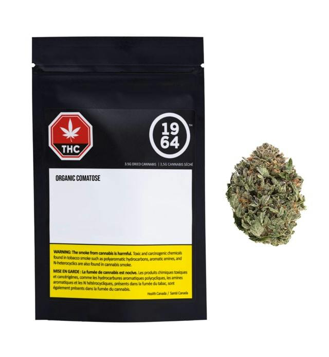 Organic Comatose 1G