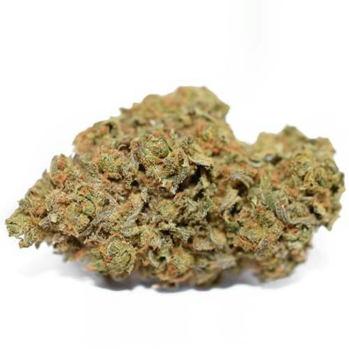 Pumpkin Spice THC CBD 7G