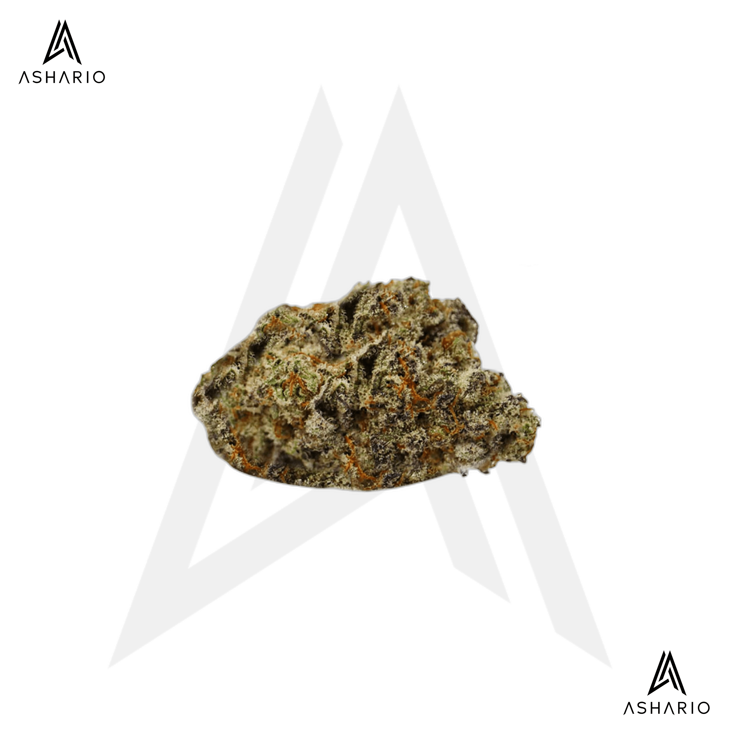 Legacy Gorilla Cookies | 3.5g