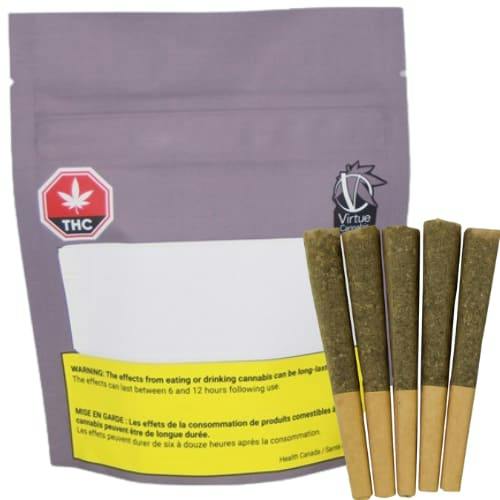Galactic Glue 10 x 0.5g B's & J's (8 x 0.5g Pre Rolls + 2 x 0.5g Blunts)