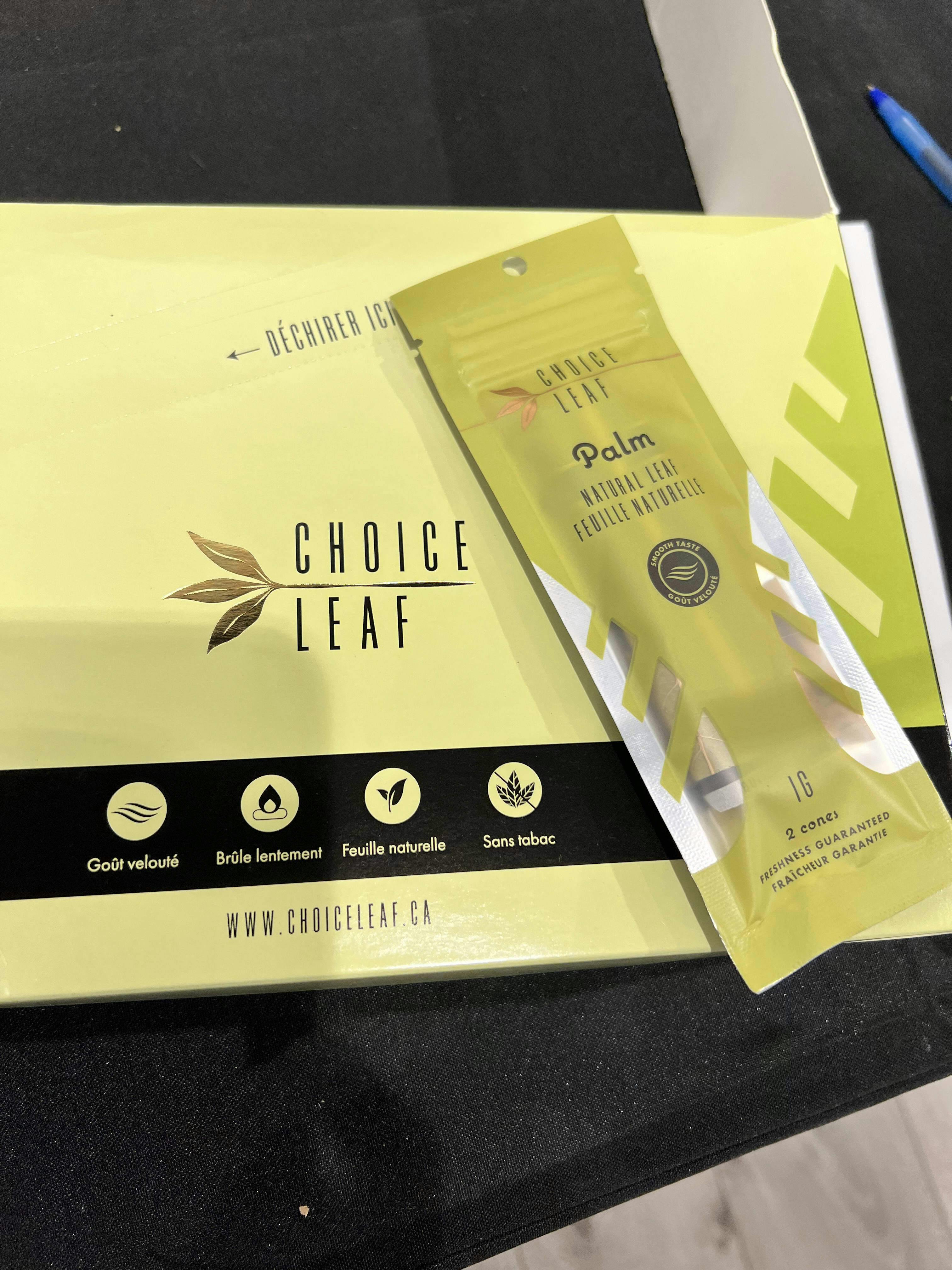 Choice Leaf- 2x1g Palm Natural Leaf Cones