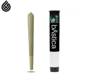 Hot Donna | Bostica | 1g Preroll (H/S)