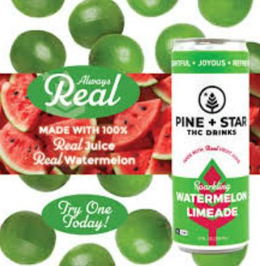 Watermelon Limeade|Pine+Star Sparkling
