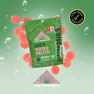 DAYCHANGERS -Juicy Watermelon - SATIVA CBG - 10,000mg