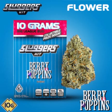 Sluggers Hit: Berry Poppins