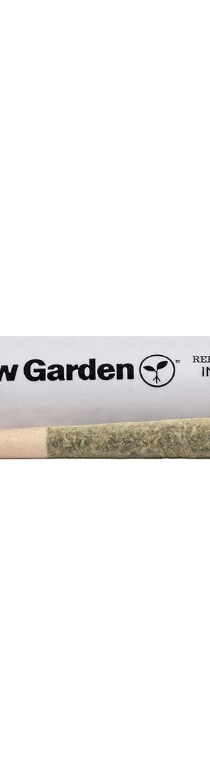 Raw Garden: Hashnana