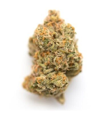 Flower - Z Cube by Absolem's Garden 28.67% - Hybrid - 1664