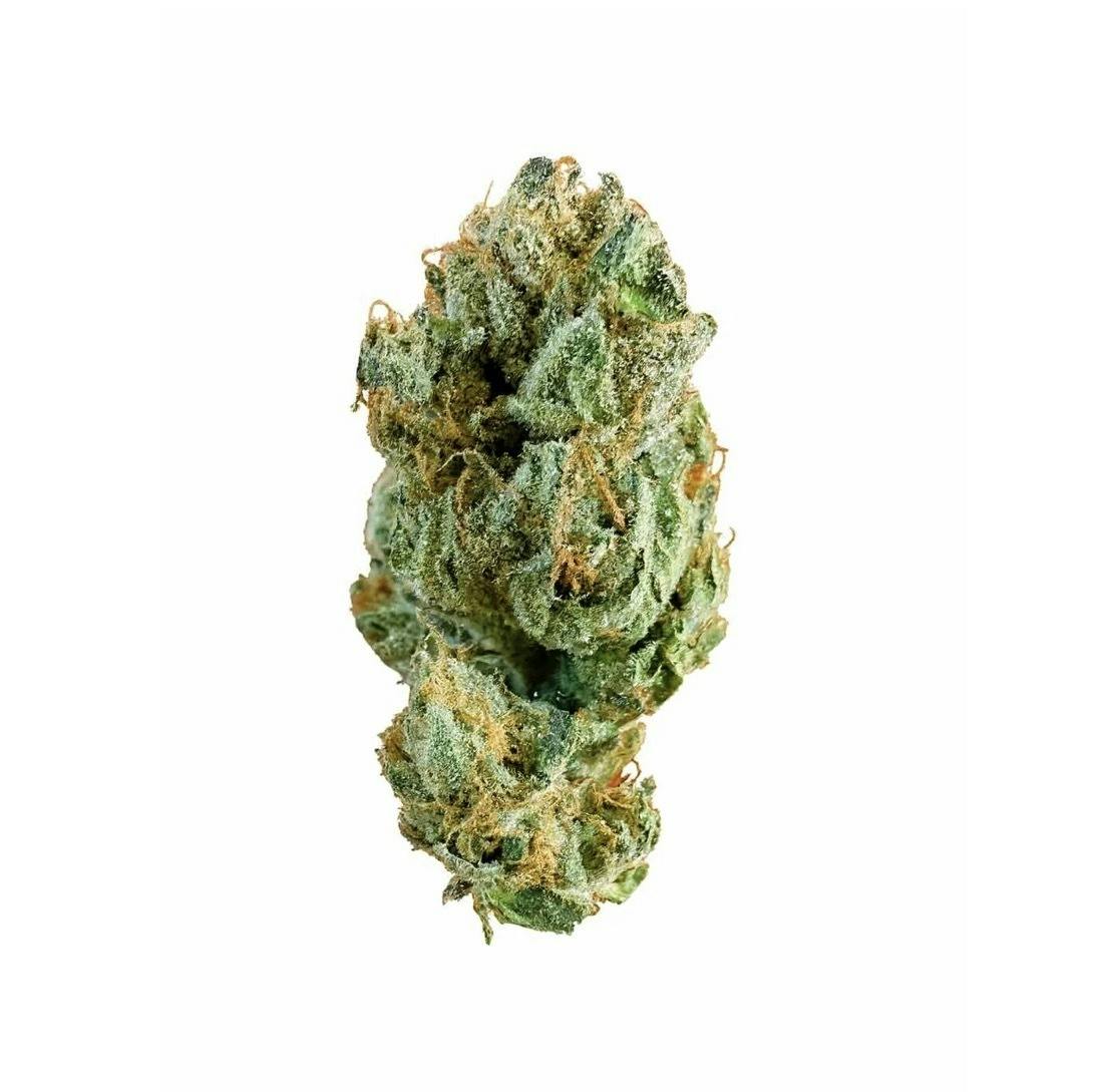 We Grow - Flower - Indoor - Gusherz - 14g