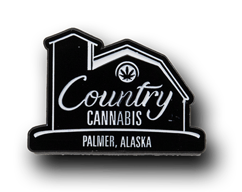 Enamel Barn Pin