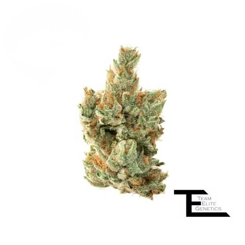 Team Elite Waffle Iron (I) Flower 3.5g