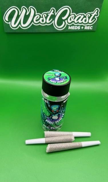 Alpha Buddz | Mac Mintz 2.1g (3pk)