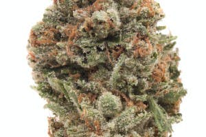 Leela Herb Co | Planet of the Grapes