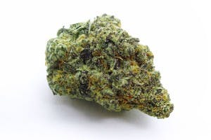 GF | Peanut Butter Breath