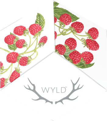 Wyld-Raspberry THC 100mg-Sativa Enhanced
