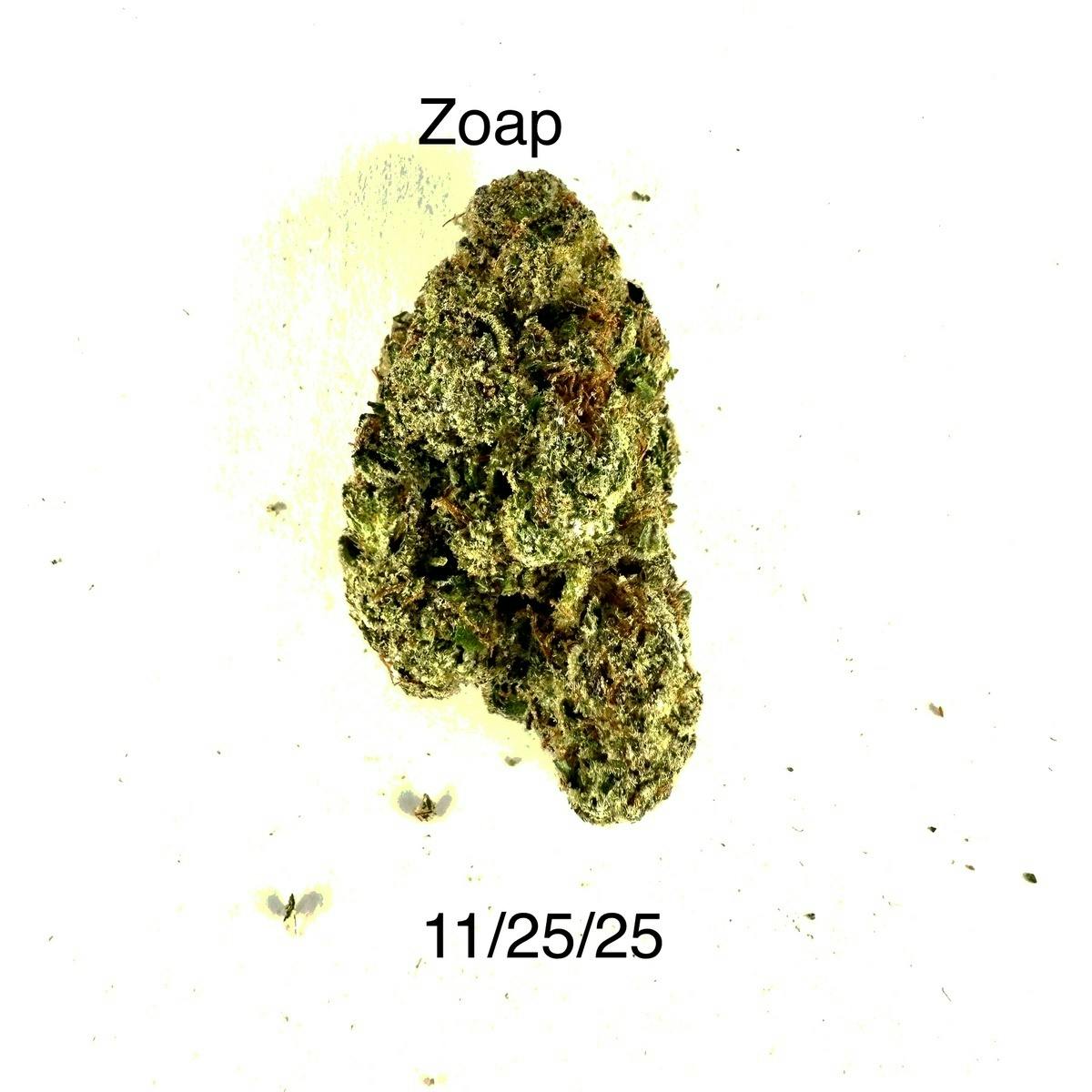 Dpf Zoap