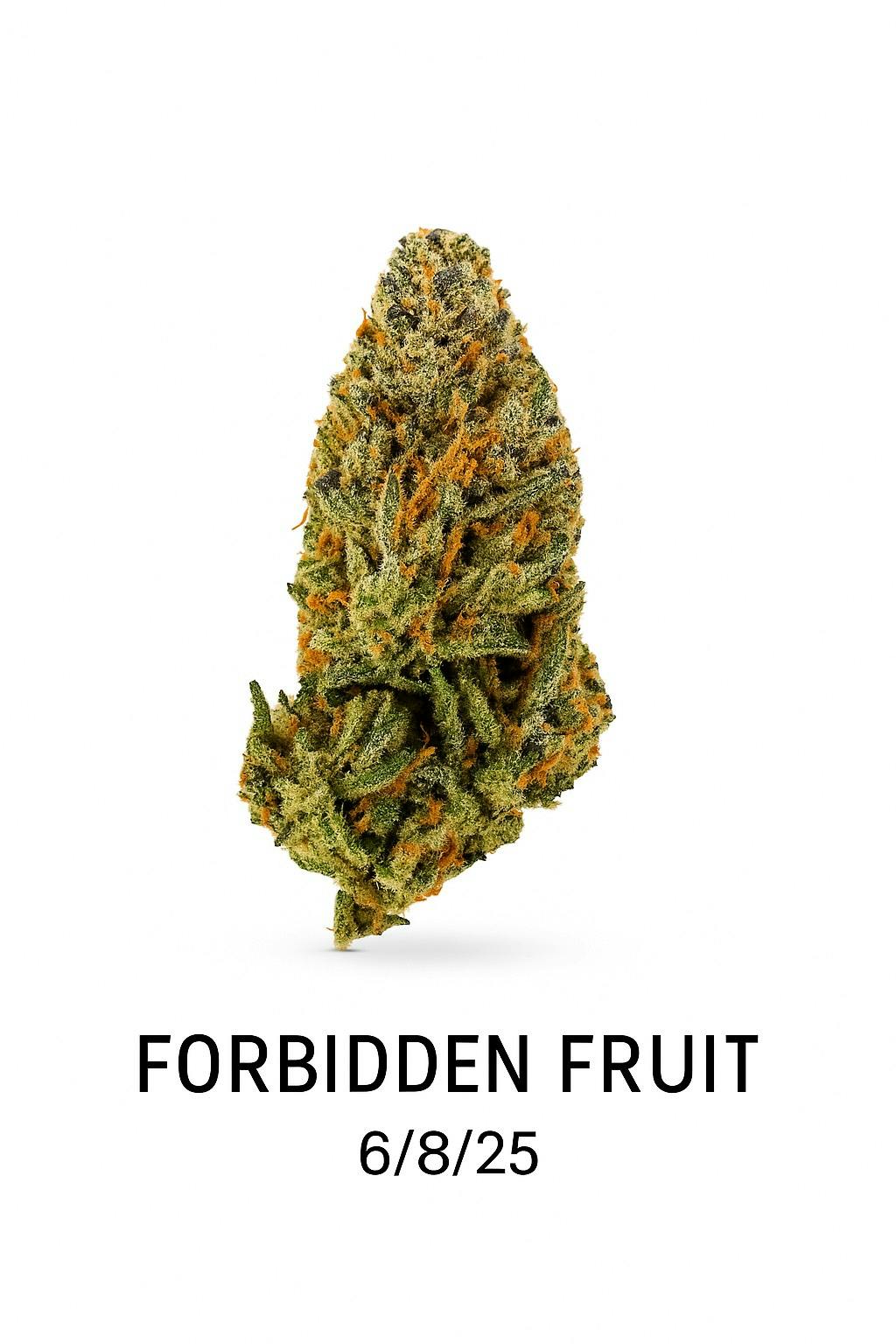 Hdh Forbidden Fruit