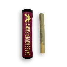 Grasshopper Farms - 1G Preroll - Mimosa
