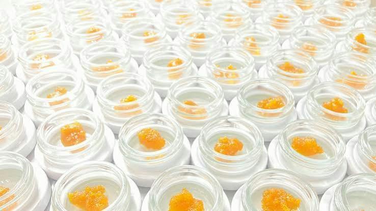 Ten Six Labs - Live Sugar Wax - Taino Vanilla Pie - 2g