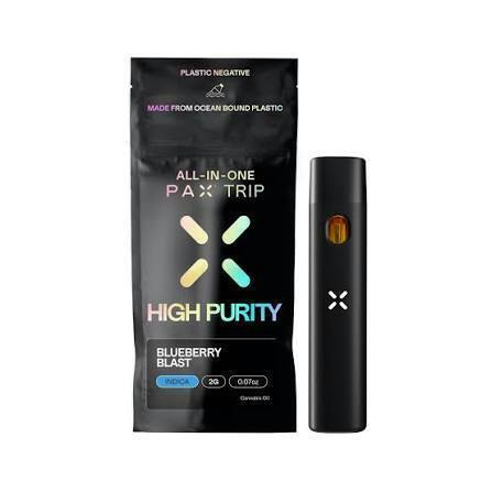 Workhorse - Pax AIO - Blueberry Blast - 2g