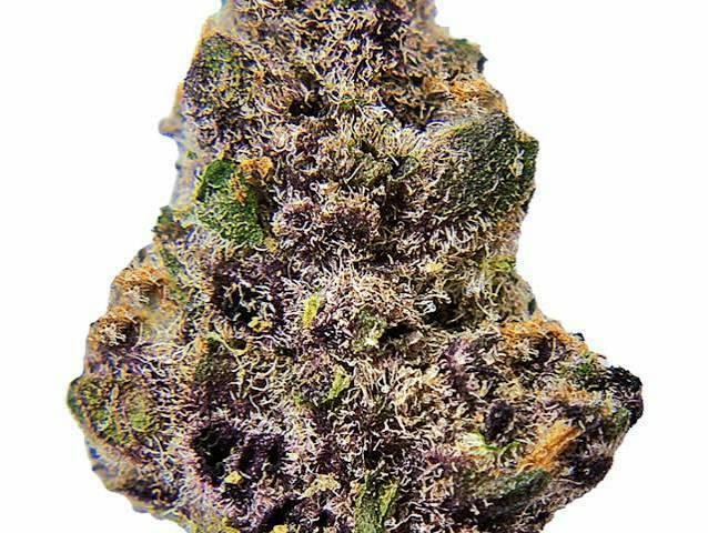Westward Summit LLC - Block Berry - Deli Flower