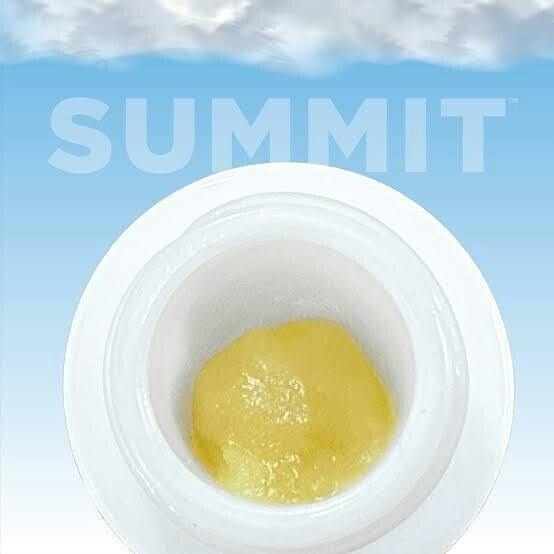 SUMMIT - Buds - Apricot Scone