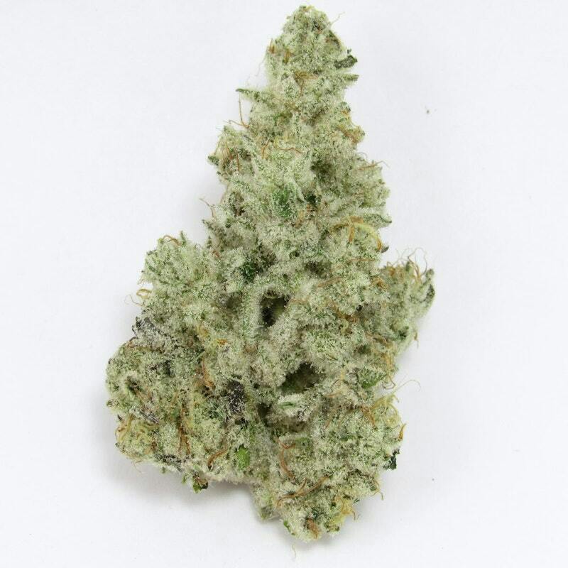 Sunhouse LLC - Cap Junky - Deli Flower