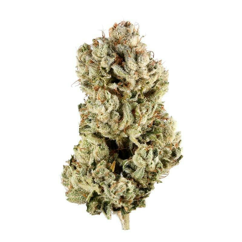 Gatsby Holdings LLC - Gorilla Glue - Deli Flower