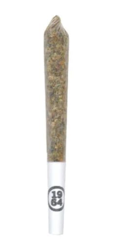 1964 | COMATOSE RESIN INFUSED PRE-ROLL | 1 X 0.5 g