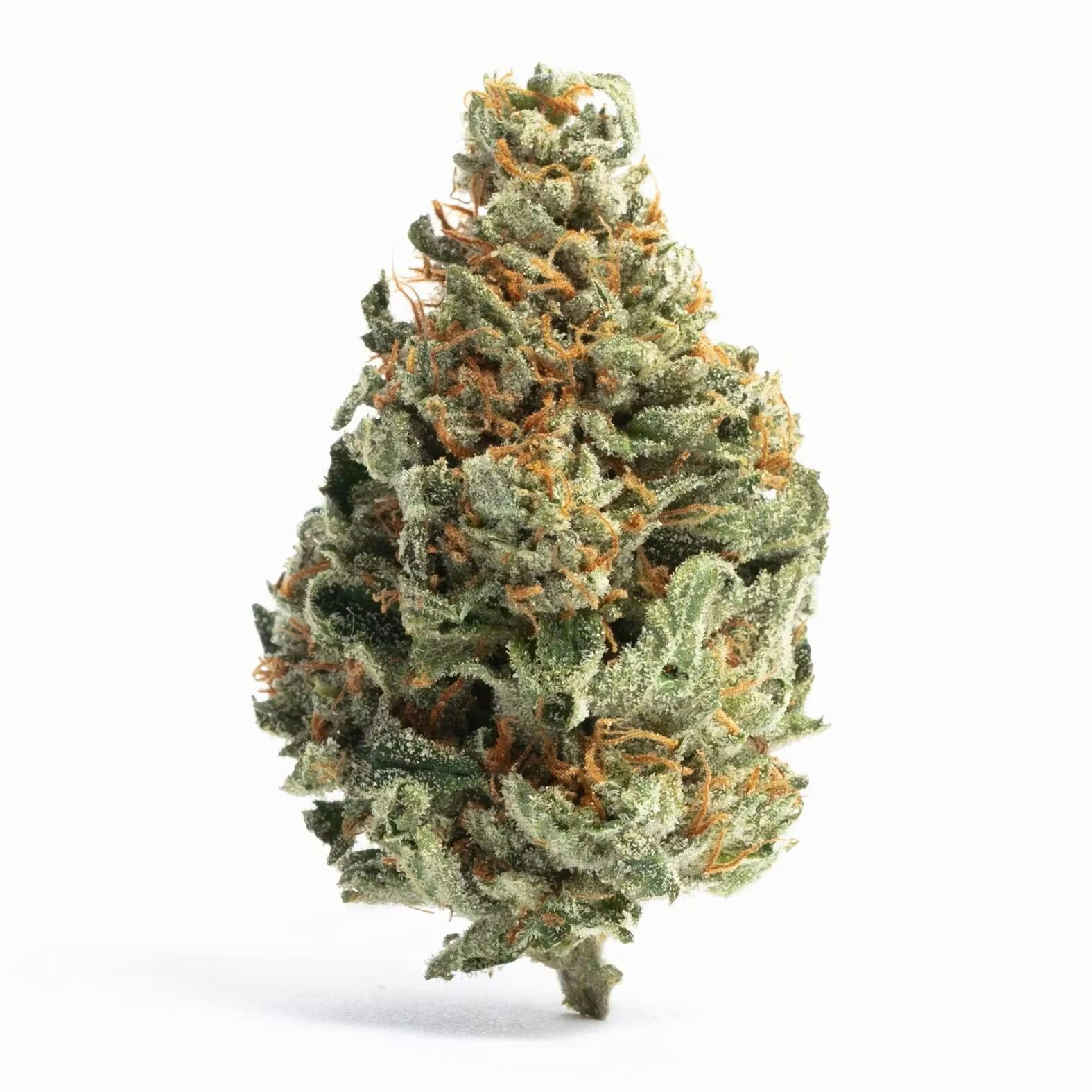 Central Plains Harvest - Reserve Hybrid - 3.5g