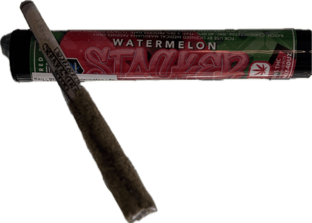 Xen - Stacker - Watermelon - 2g