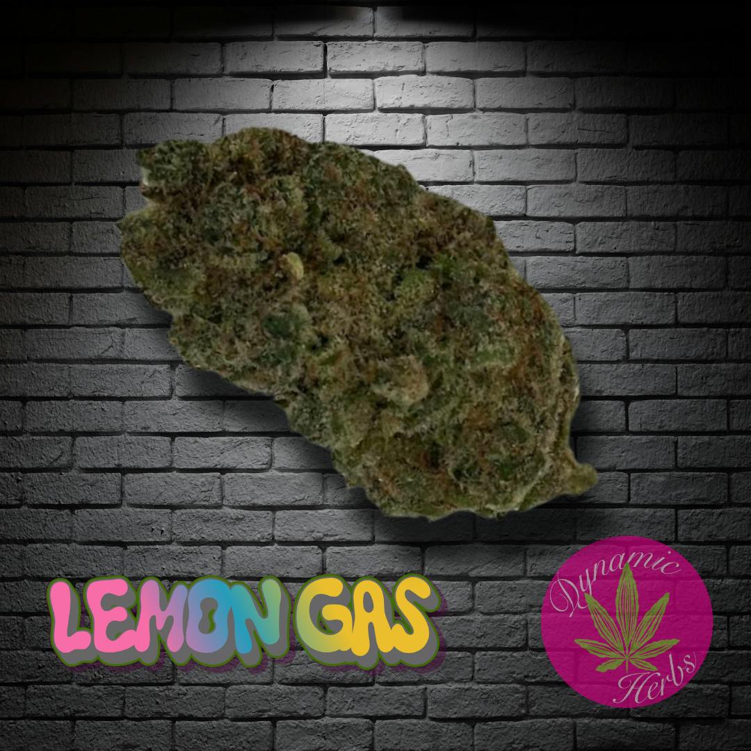 Dynamic Herbs - Lemon Gas - 3.5g