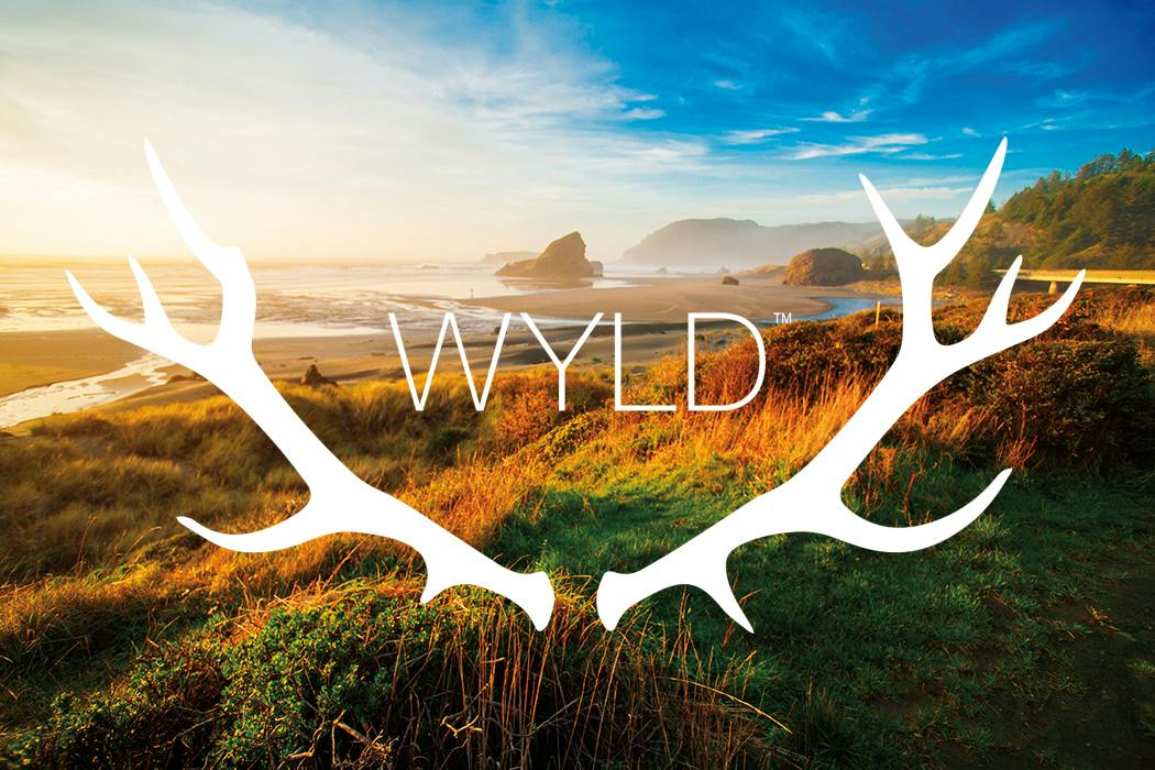 Wyld | Sour Apple 100mg Gummies