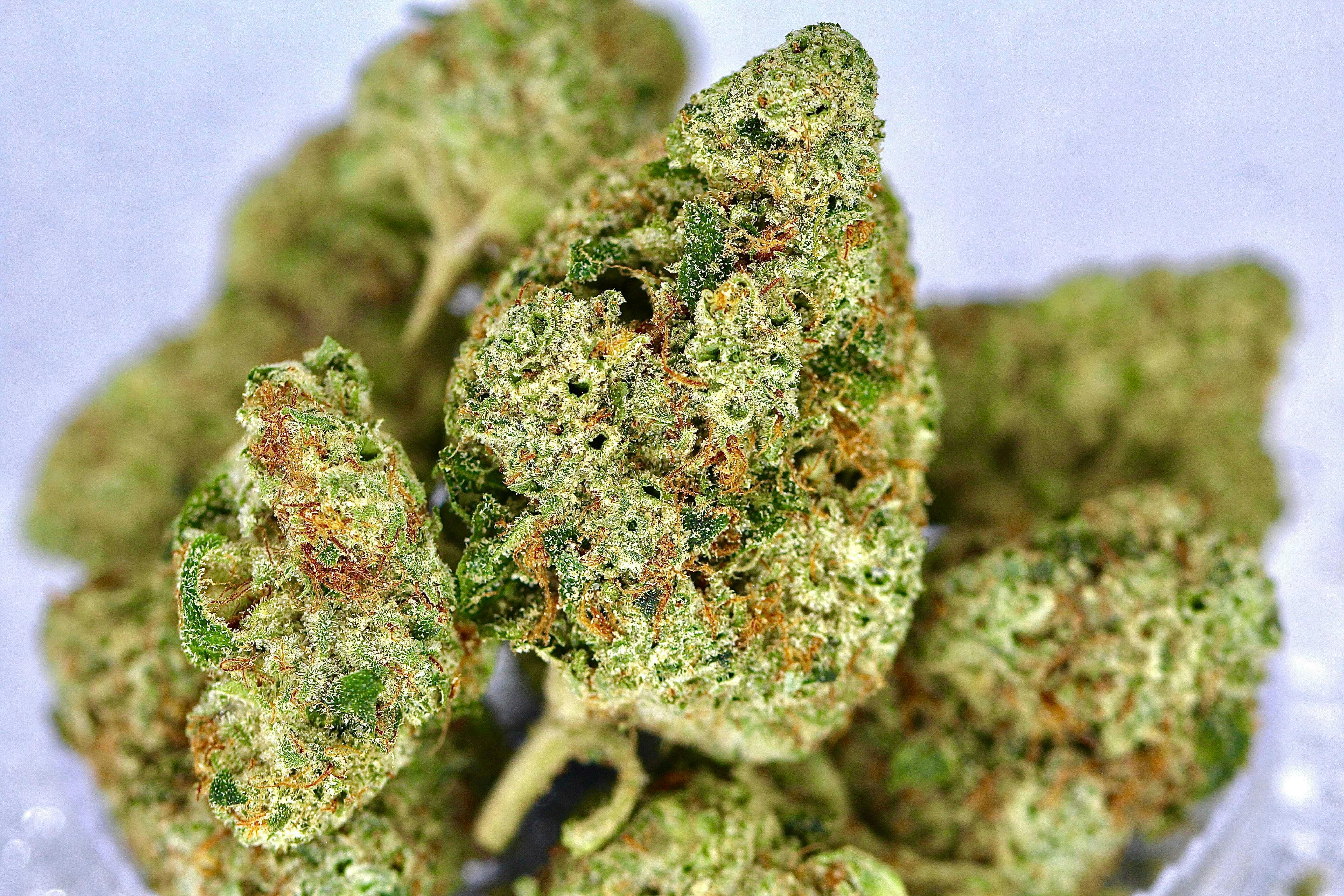 Revo Group - Brain Killer OG 6G - 6 grams