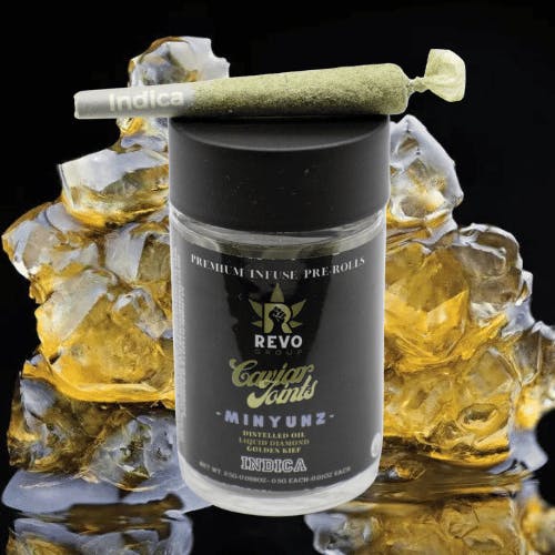 Revo Group - — Fruit Punch Pr X 5 - Minyunz 0.5Gx5