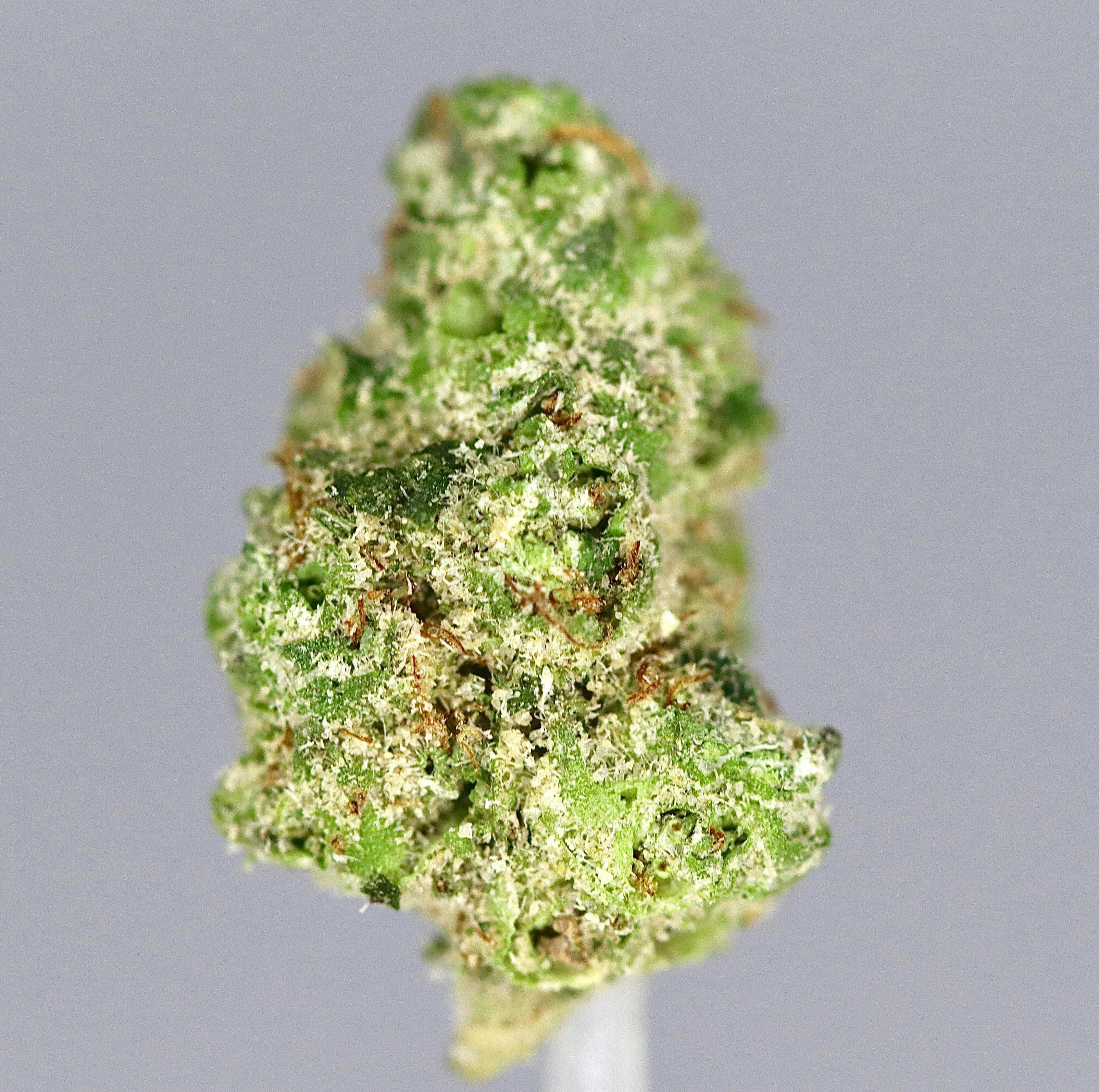 Revo Group - Pink Runtz Smalls 6G - 6 grams