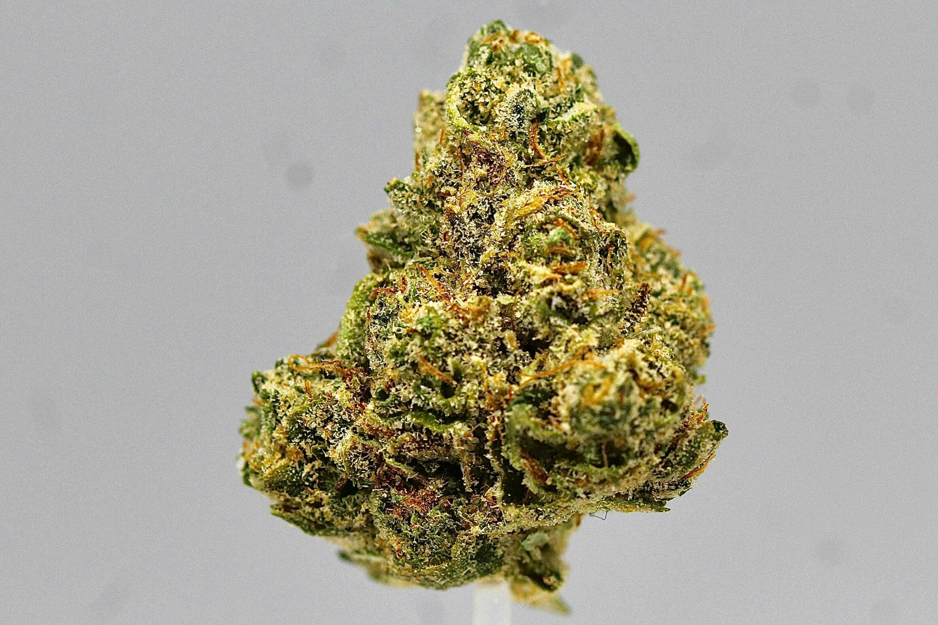 Revo Group - Escobar OG 6G - 6 grams