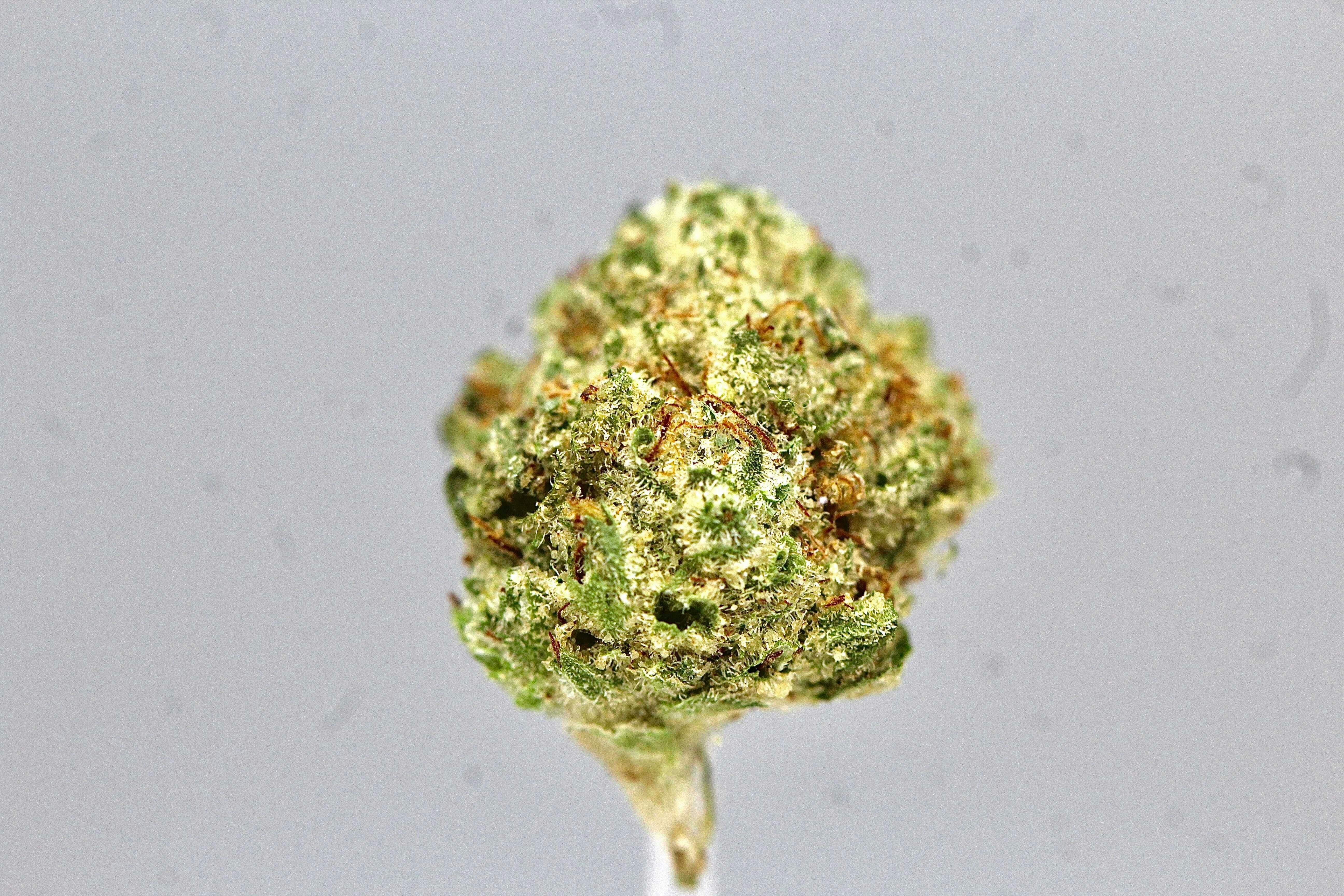 Revo Group - — Platinum OG