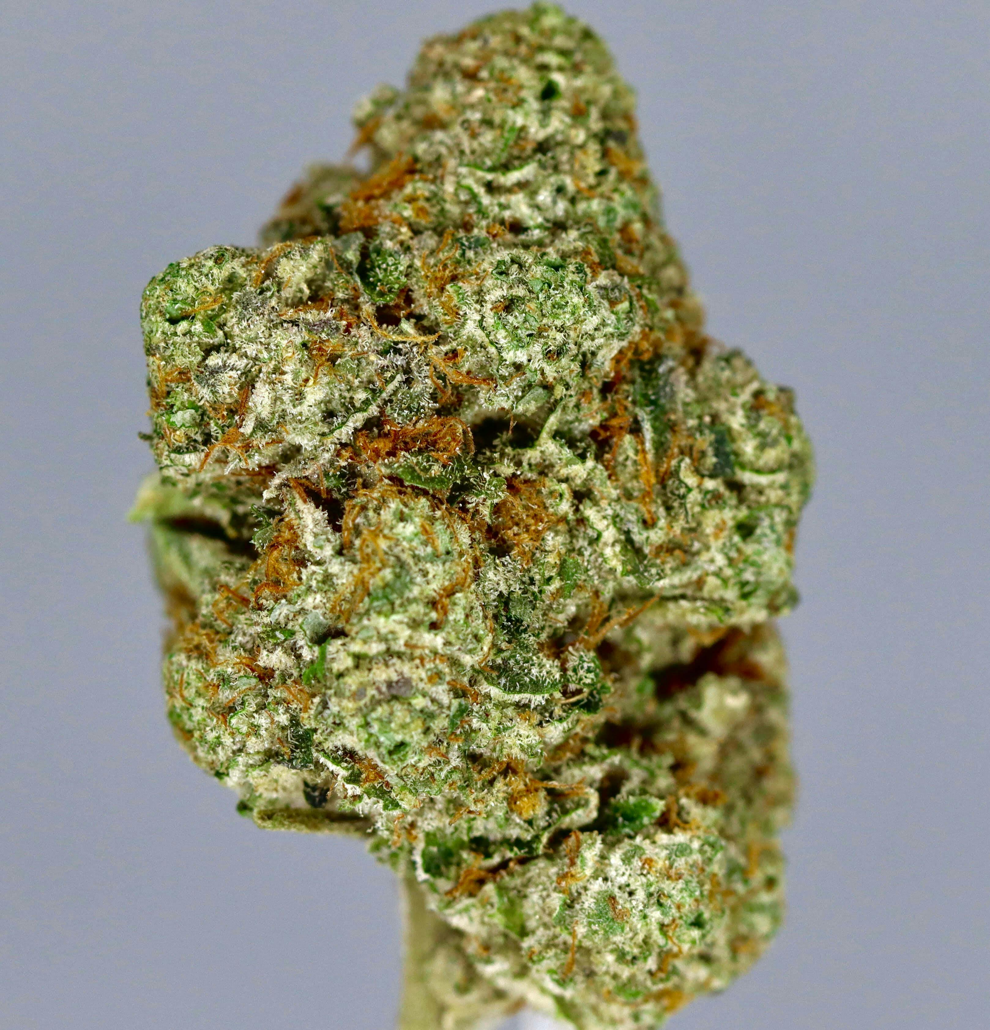 Revo Group - Death Star OG 6G - 6 grams