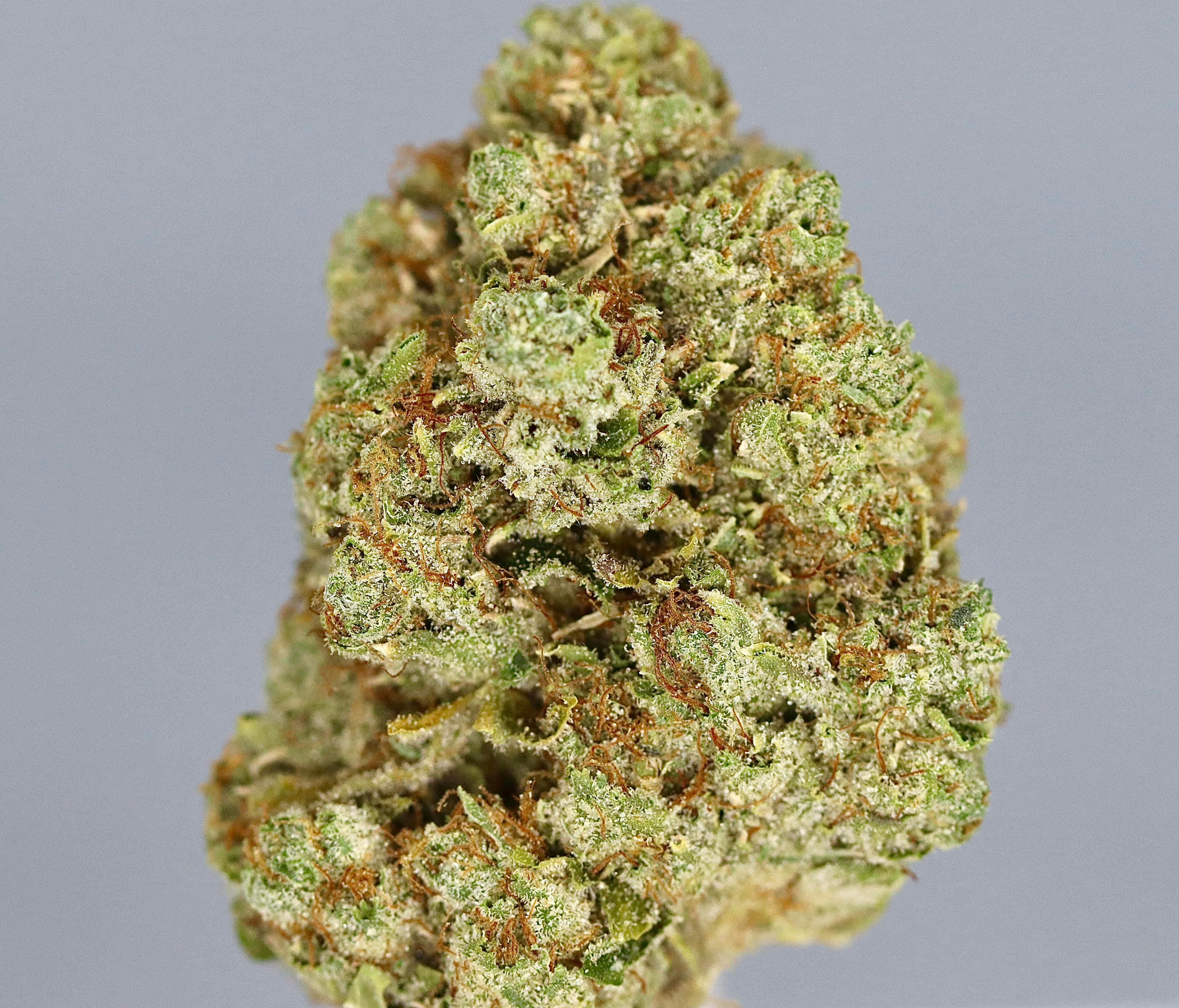 Revo Group - Skywalker OG 6G - 6 grams