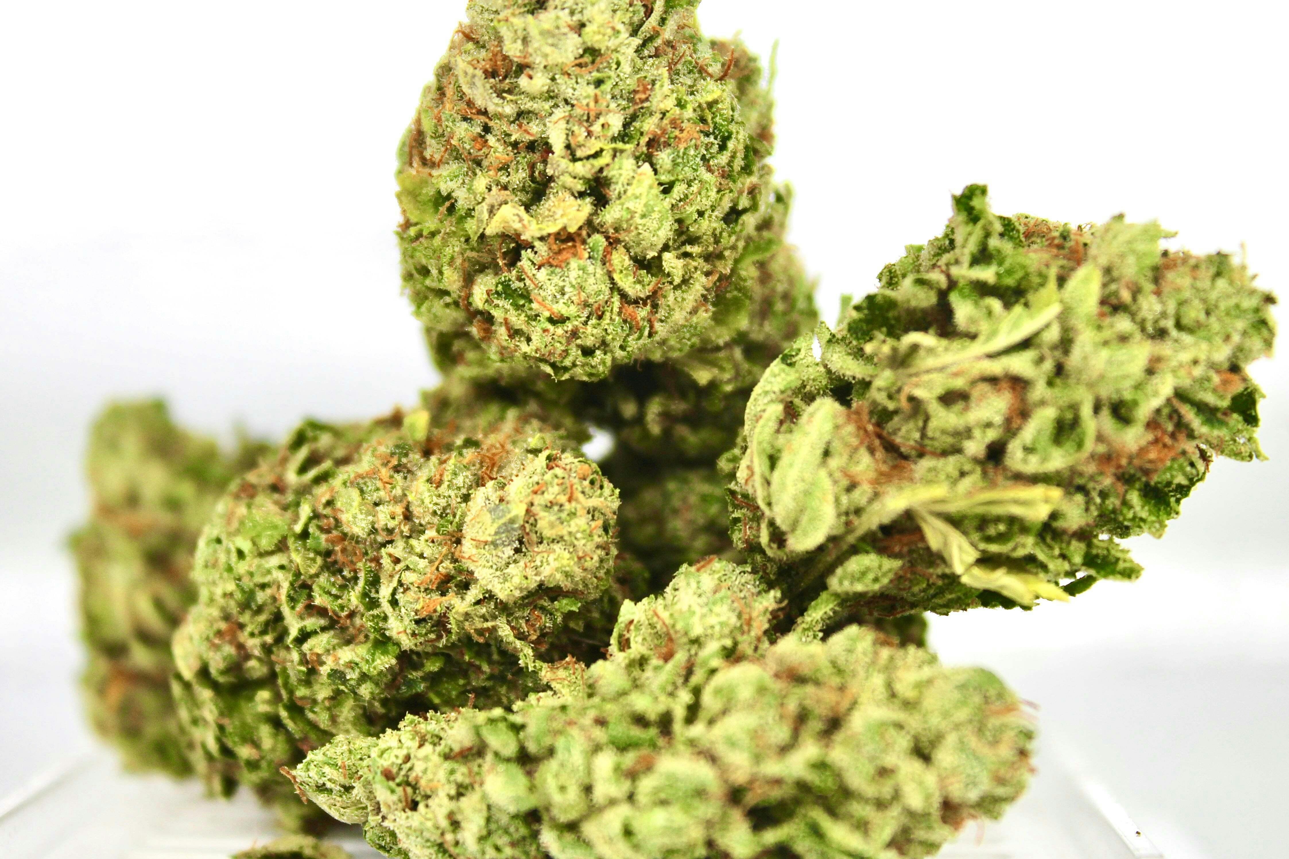 Revo Group - Madonna OG 6G - 6 grams