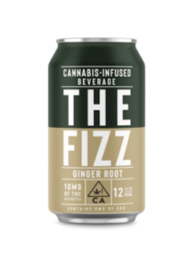 THE FIZZ - NANO GINGER ROOT 12OZ 10MG
