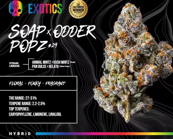Bosky — Soap X Odder Popz #29