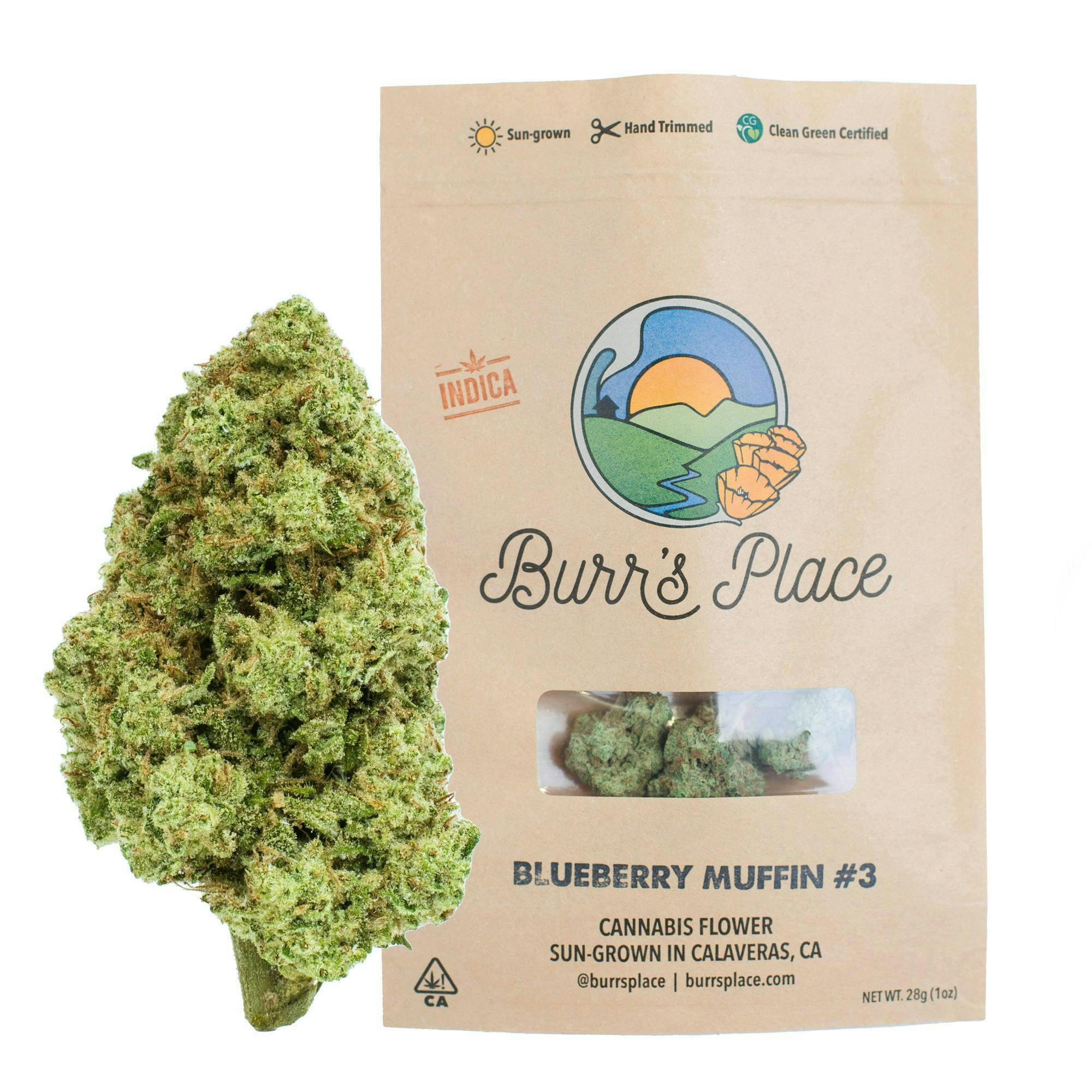 Burr's Place Blueberry Muffin 3.5g