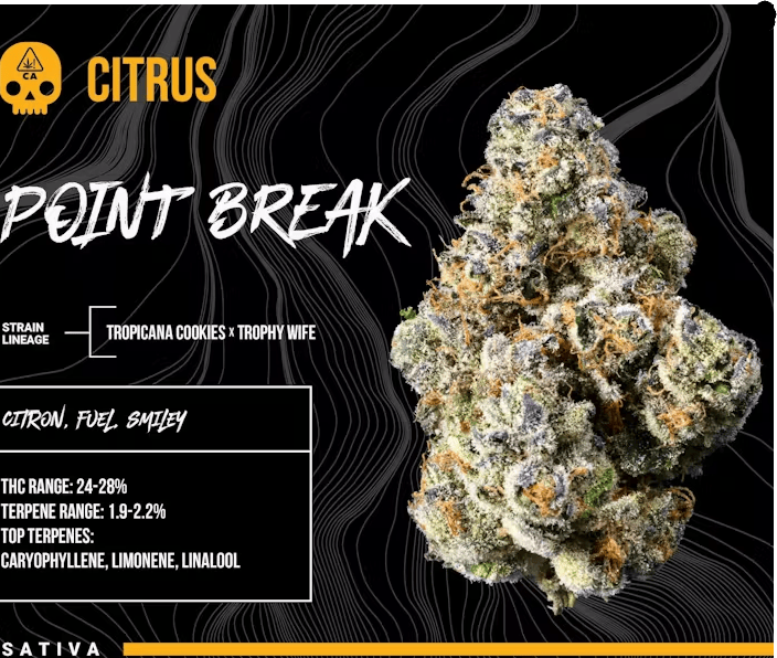 Point Break 3.5g Jar